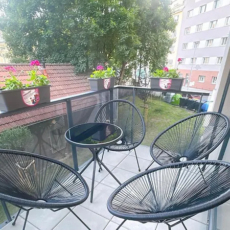 Apartmán New 5 *